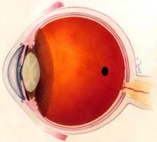 healthy human eye.jpg